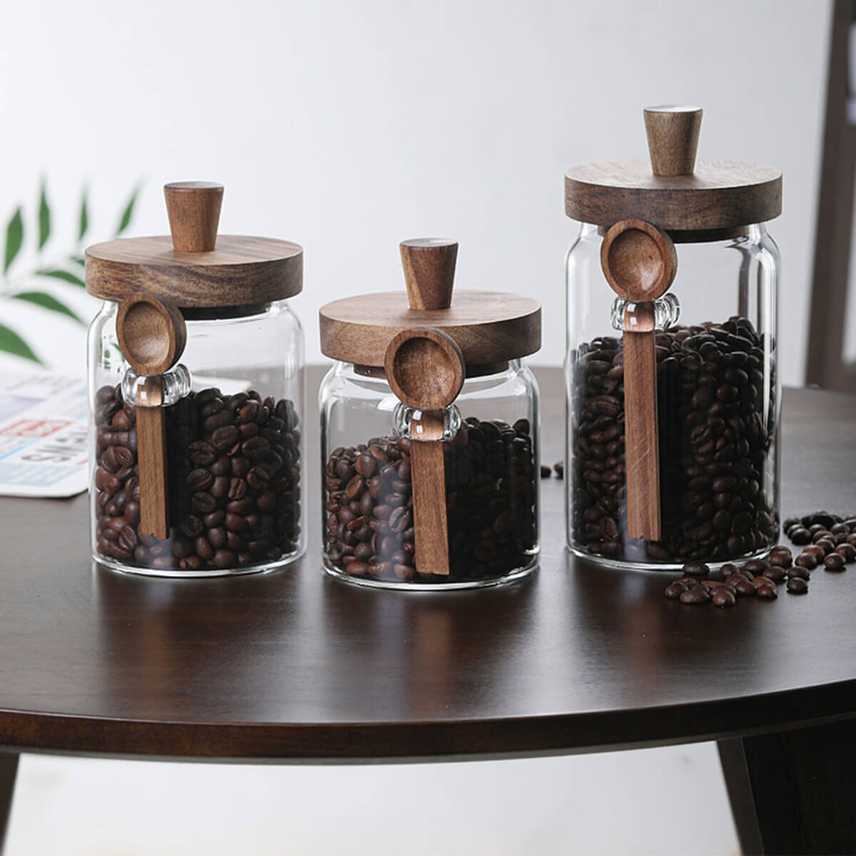 Three glass coffee jars with walnut wood lids and spoons filled with coffee beans on table