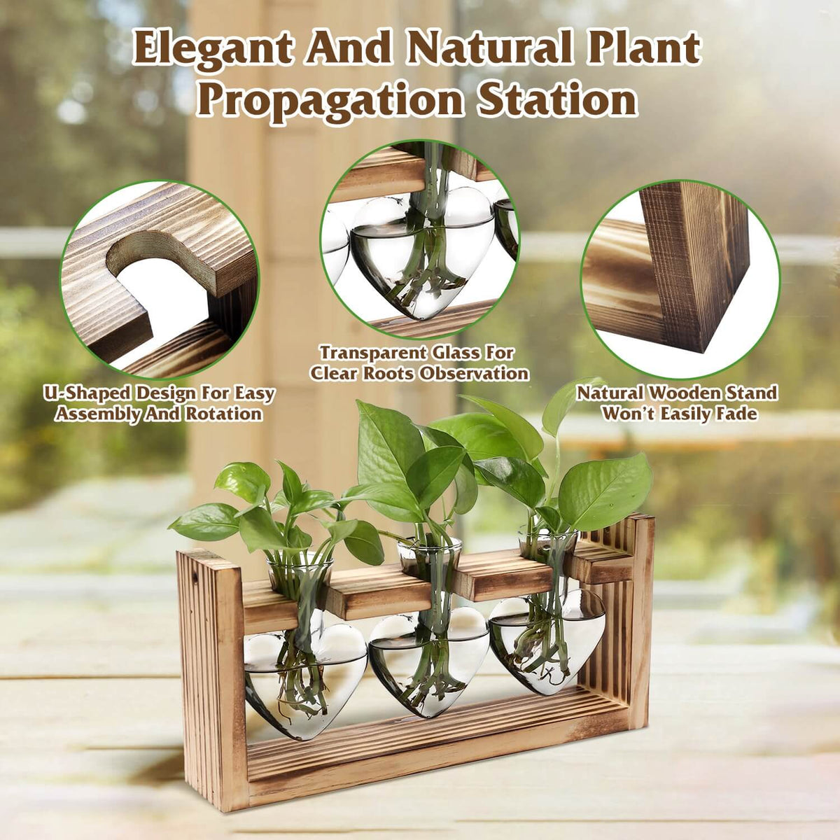 Plant propagation station wood joint detail and glass vase root visibility
