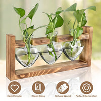 Plant propagation station heart shape clear glass natural wood features