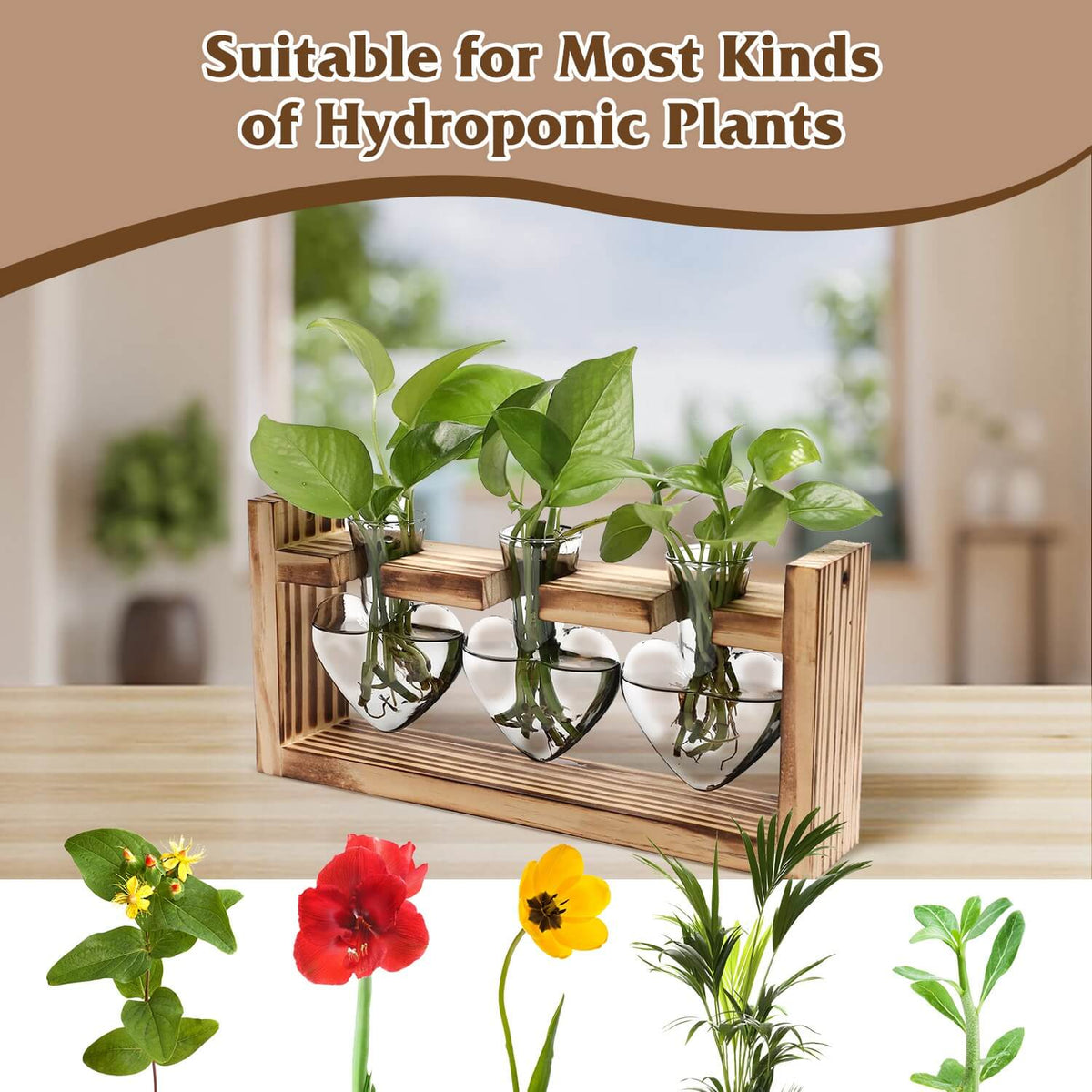Plant propagation station suitable for various hydroponic plants on wood table