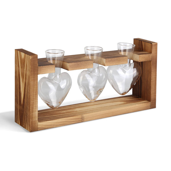 Plant propagation station three glass vases wood stand on white background