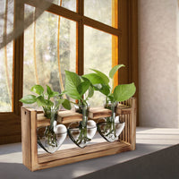 Plant propagation station with pothos cuttings backlit by window